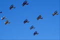 661056 De Havilland Tiger Moths Fly Past A4 Photo Print