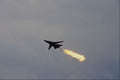 661078 Lockheed F111C No.1 Sq. RAF Torching  A4 Photo Print
