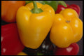 662021 Colorful Peppers A4 Photo Print