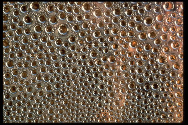662030 Surface Tension A4 Photo Print
