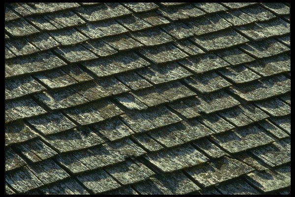 662031 Shingles A4 Photo Print