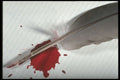 662041 Feather, Ink A4 Photo Print