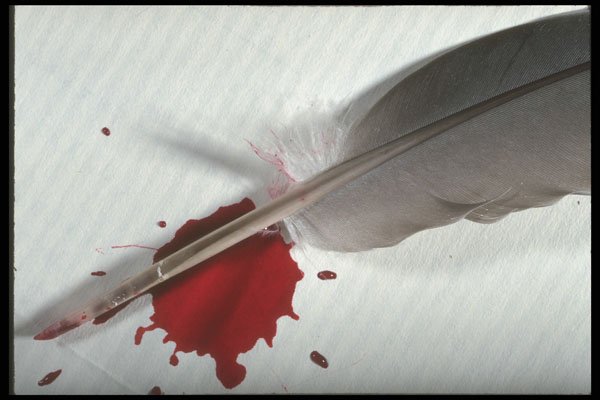 662041 Feather, Ink A4 Photo Print