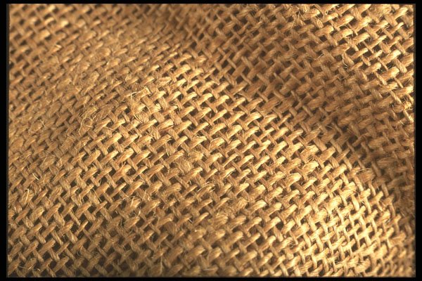 662042 Burlap A4 Photo Print