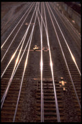 662045 Train Tracks A4 Photo Print