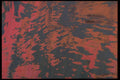 662048 Peeling Paint A4 Photo Print