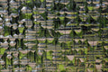 662059 Wired Glass A4 Photo Print