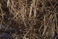 662066 Metal Pin Background A4 Photo Print