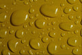 662071 Yellow A4 Photo Print