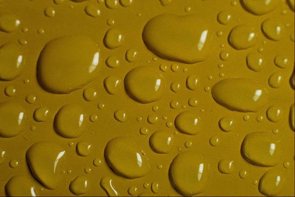 662071 Yellow A4 Photo Print