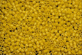 662096 Spacers A4 Photo Print