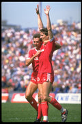 663026 Canadian Jubilation A4 Photo Print