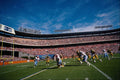 663063 Professional Football Stadium A4 Photo Print