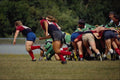 663083 Pictou County Rugby Club, Nova Scotia, Canada A4 Photo Print