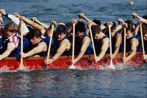 663098 Serpentine Regatta, Westminster A4 Photo Print