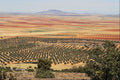 664023 Road To Ciudad Real From Orgaz, Castilla La Mancha, Spain A4 Photo Print