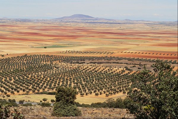 664023 Road To Ciudad Real From Orgaz, Castilla La Mancha, Spain A4 Photo Print