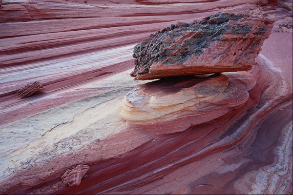 664025 Paria Wilderness, Utah Arizona, U.S.A. A4 Photo Print