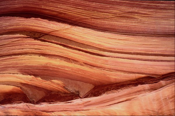664029 Eroded Cross bedded Navajo Sandstone, Arizona, U.S.A. A4 Photo Print