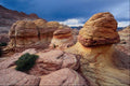 664032 Paria Wilderness, Utah Arizona, U.S.A. A4 Photo Print