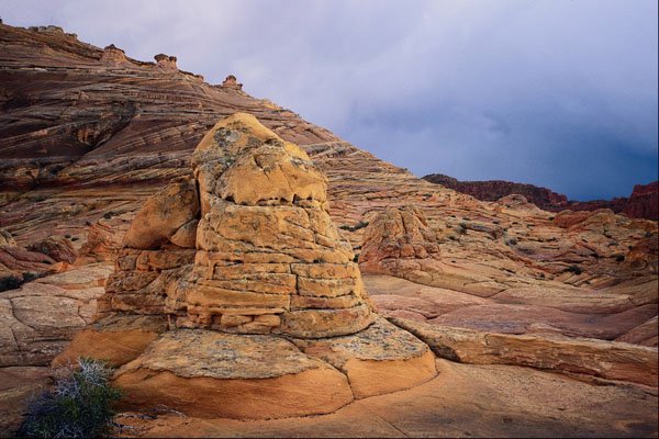 664034 Paria Wilderness, Utah Arizona, U.S.A. A4 Photo Print