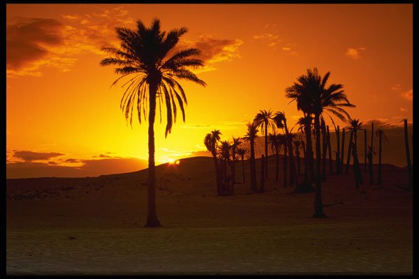 664092 Sunset In The Desert, The Sahara, Tunisia A4 Photo Print