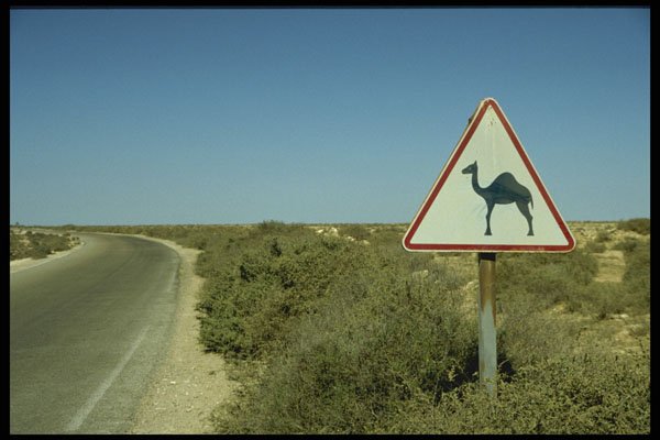 664093 Traffic Sign, Western Sahara A4 Photo Print
