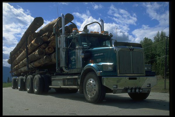 667014 Log Truck A4 Photo Print