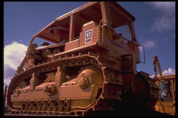 667022 Power Cat On Display A4 Photo Print