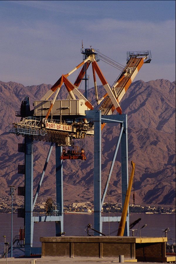 667058 Cranes A4 Photo Print