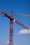667060 Red Crane A4 Photo Print