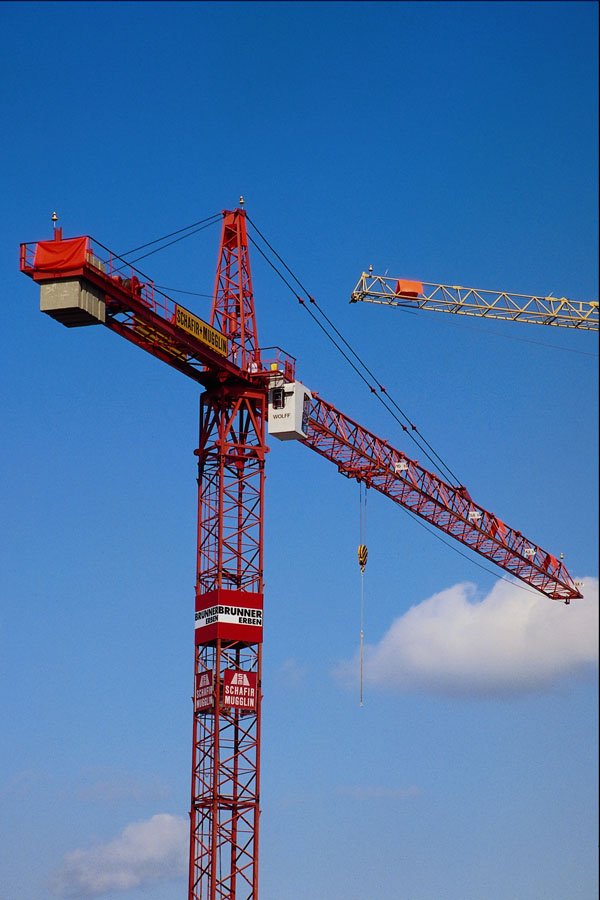 667060 Red Crane A4 Photo Print