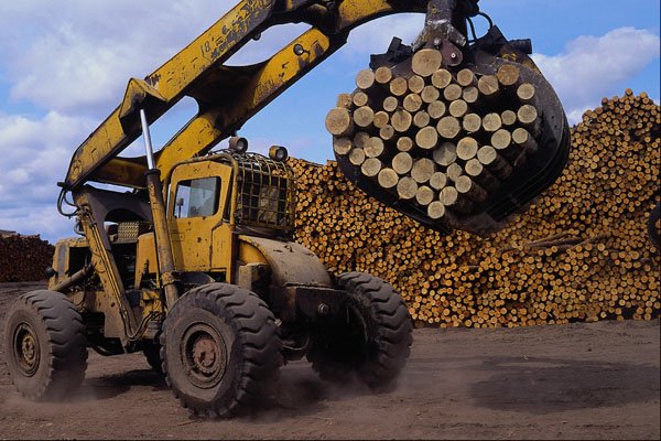 667062 Logs, Sawmill Operations, Northwestern Ontario A4 Photo Print