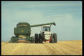 667074 Harvest Shot, Canadian Prairies A4 Photo Print