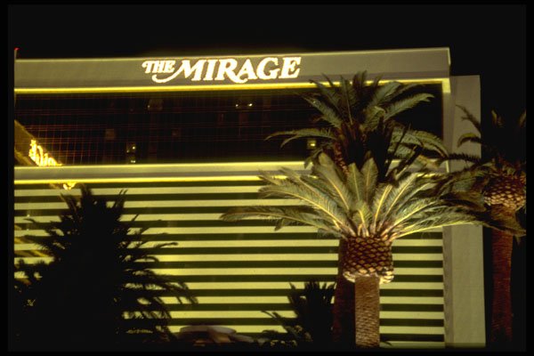 668021 Floodlit Palm Mirage A4 Photo Print