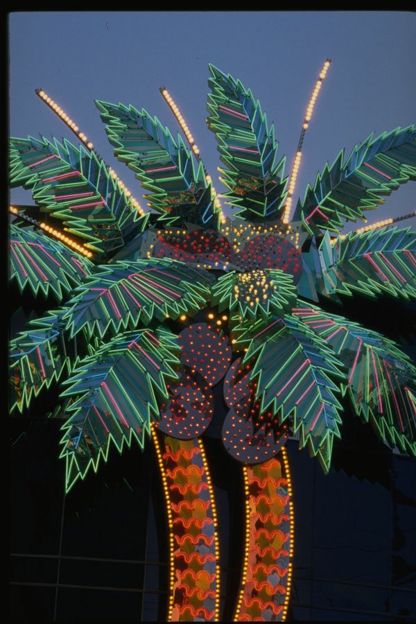 668048 Neon Palm Tree A4 Photo Print