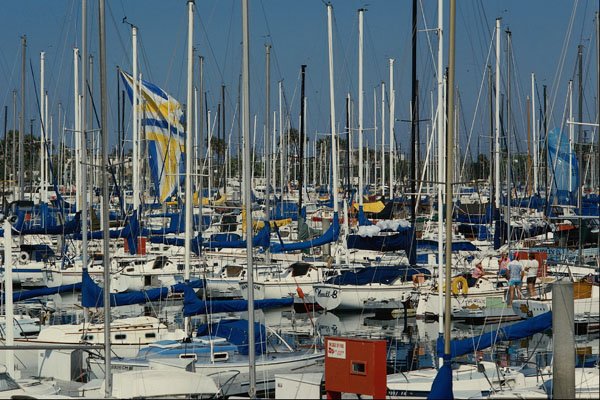 669010 Yachts In Marina, Newport, California A4 Photo Print