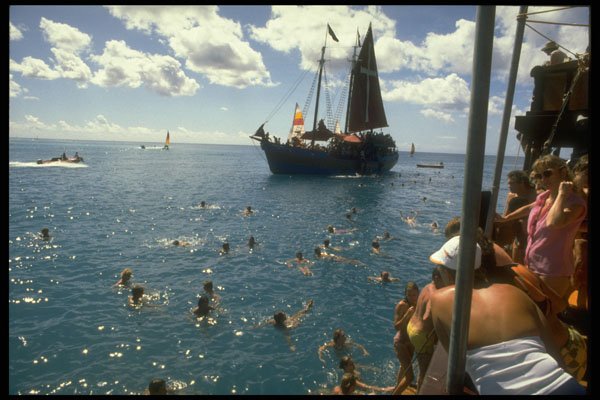 669042 Swimming From Jolly Roger, Barbados A4 Photo Print