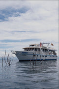 669086 Zimbabwe, Cabin Cruiser On Kariba A4 Photo Print