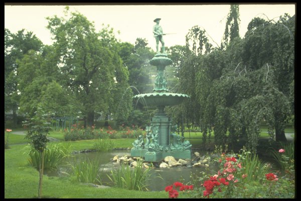 670001 Public Gardens A4 Photo Print