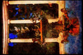670007 Litton Industries, Beverly Hills Courtyard, California A4 Limited Edition Watercolour Print