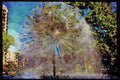 670025 El Alamein Fountain, Sydney, Australia A4 Limited Edition Watercolour Print