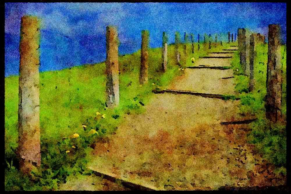 671017 Path Between Fence A4 Limited Edition Watercolour Print