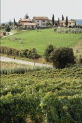 671033 Landscape And Farm, Tuscany, Italy A4 Photo Print