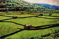 671036 Typical Barns And Walls, Britain A4 Limited Edition Watercolour Print