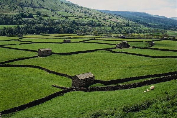 671036 Typical Barns And Walls, Britain A4 Photo Print
