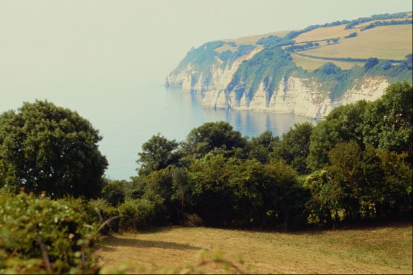 671053 Cliffs At Beer Seaton Bay, Dorset, England A4 Photo Print