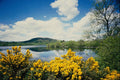 671092 Camlough Lough, County Down, Ireland A4 Photo Print