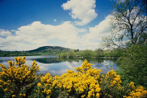 671092 Camlough Lough, County Down, Ireland A4 Photo Print