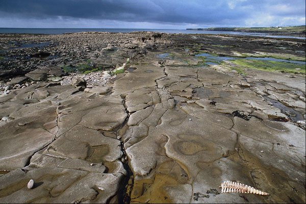 671096 Liscannoir Bay, Southern Ireland A4 Photo Print